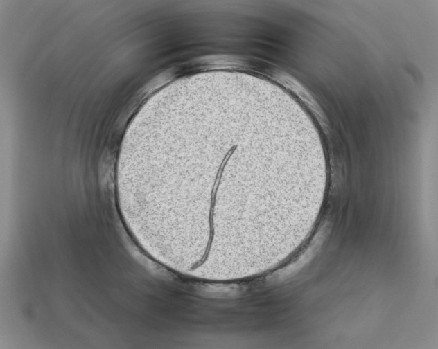 X0000112791049200910021055