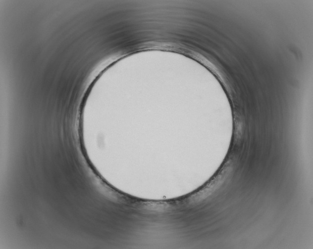 X0000112791050200910021055