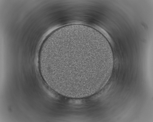 X0000112791051200910021055