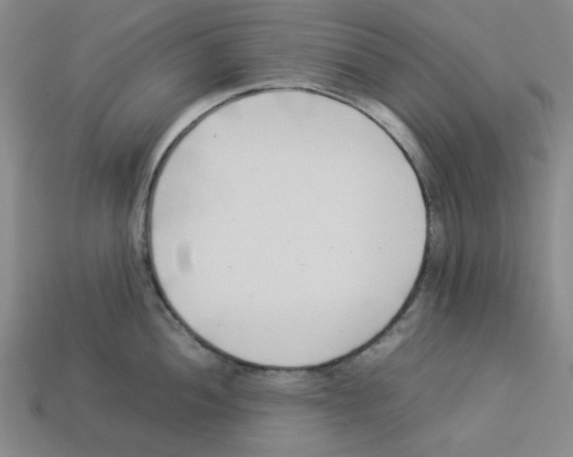 X0000112791052200910021055