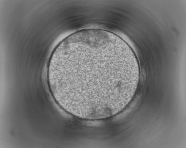 X0000112791053200910021055