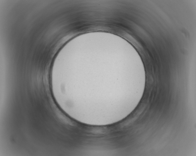 X0000112791055200910021055