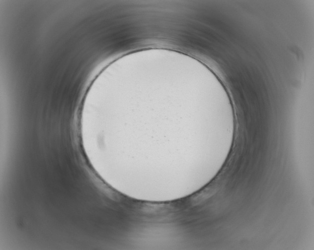 X0000112791056200910021055