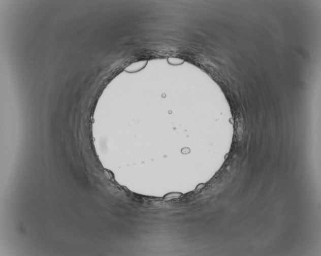 X0000112791057200910021055