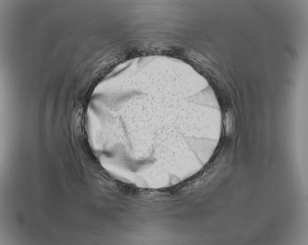 X0000112791059200910021055