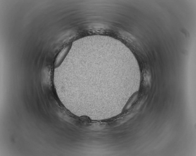 X0000112791060200910021055