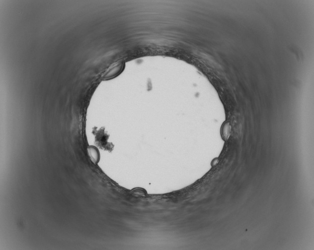 X0000112791061200910021054