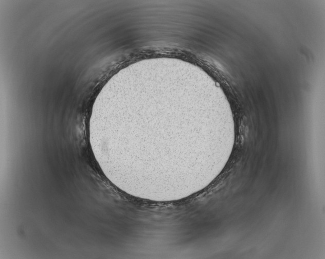 X0000112791062200910021054