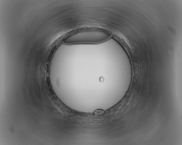 X0000112791064200910021054