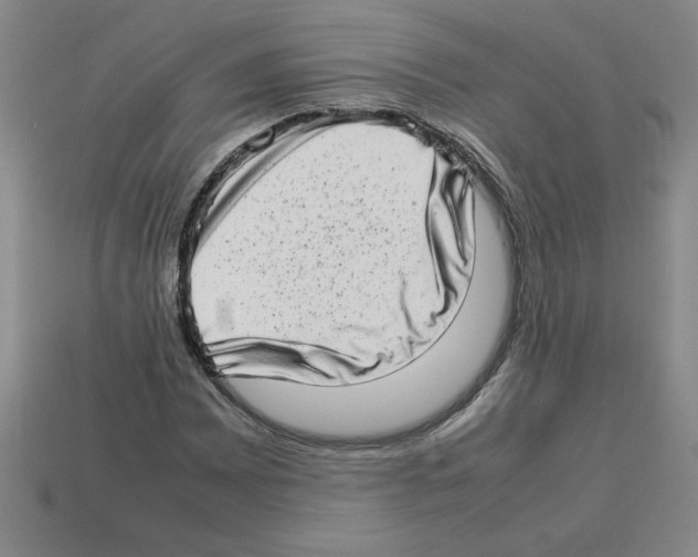 X0000112791065200910021054