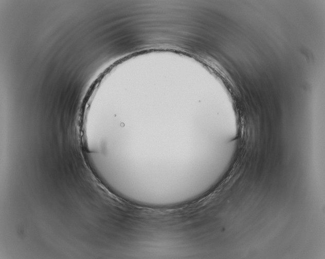 X0000112791068200910021054