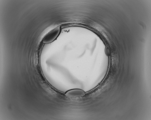 X0000112791069200910021054