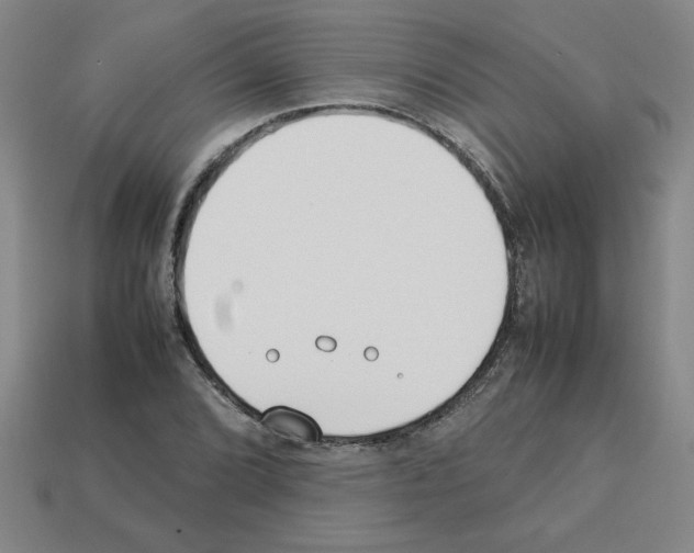 X0000112791072200910021054