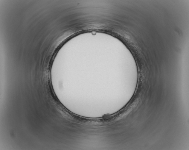 X0000112791073200910021054