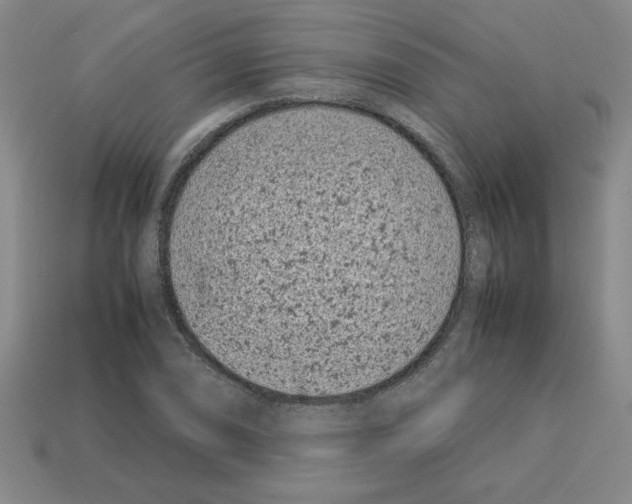 X0000112791074200910021054