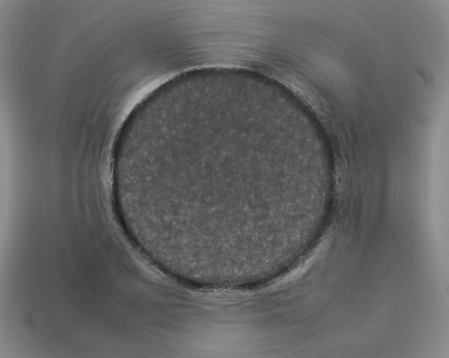 X0000112791077200910021054