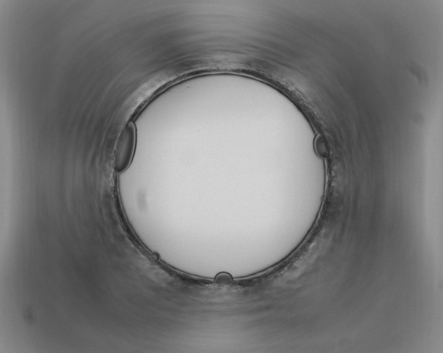 X0000112791081200910021054