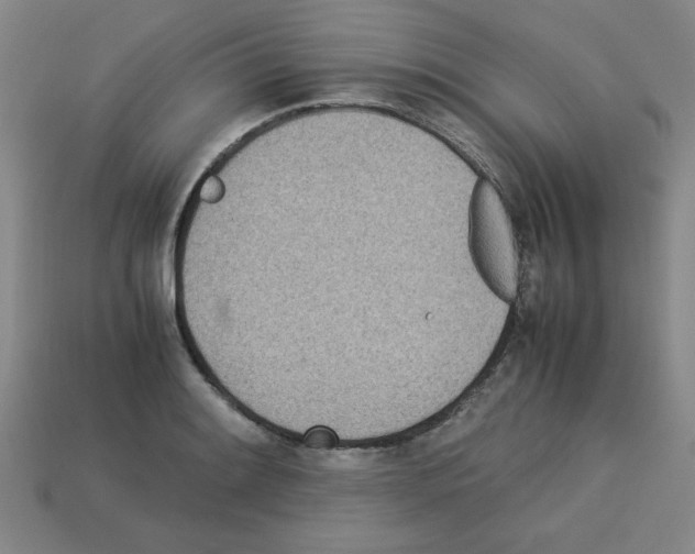 X0000112791084200910021054