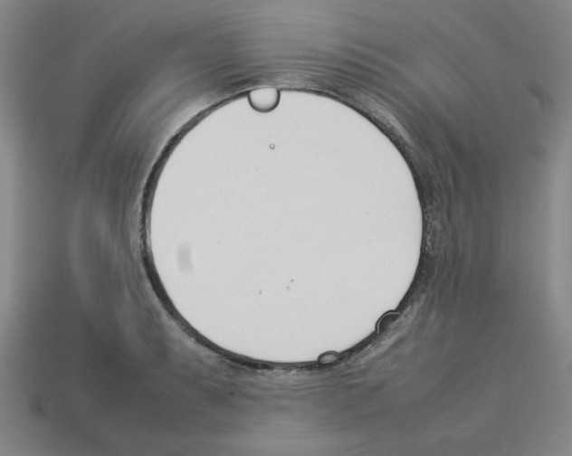 X0000112791087200910021054