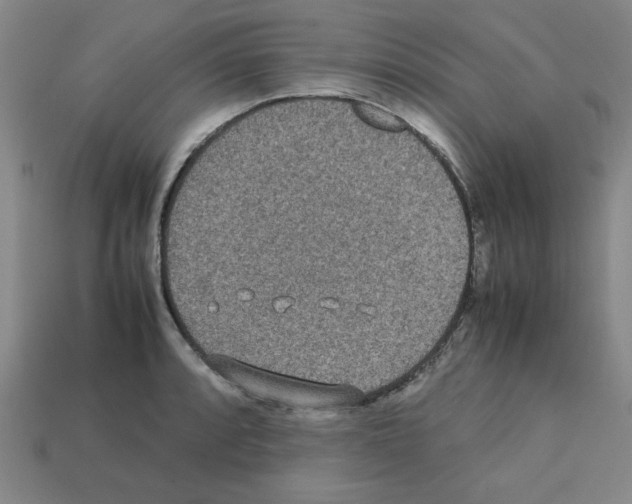 X0000112791088200910021054