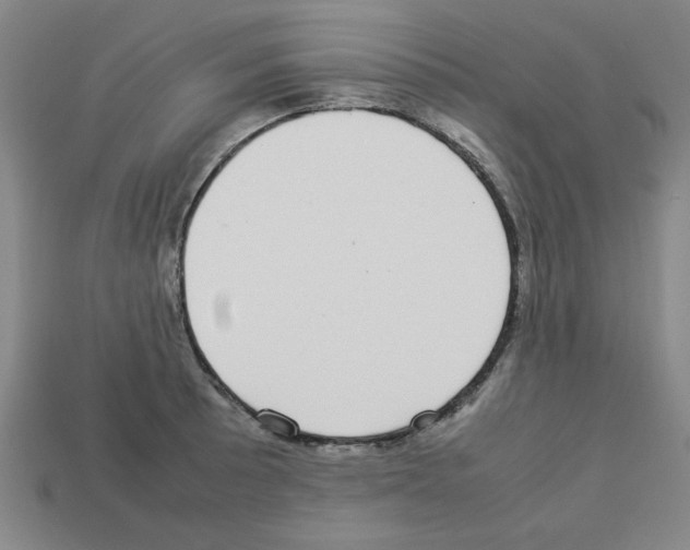 X0000112791089200910021054