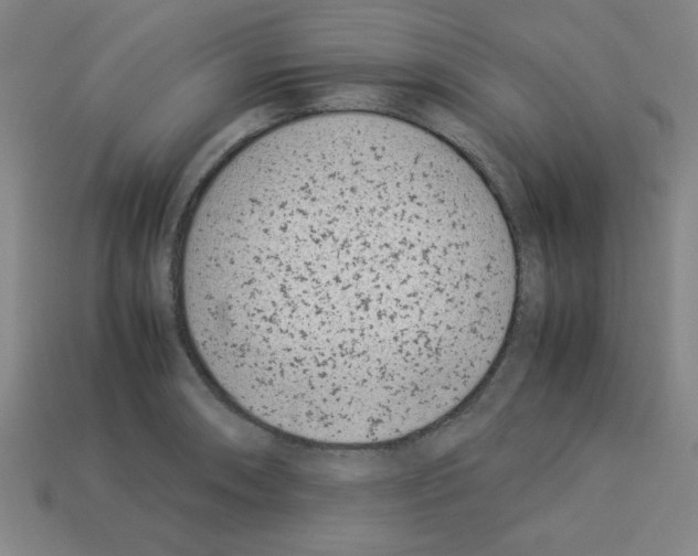 X0000112791090200910021054