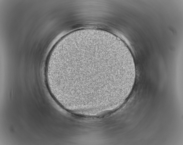 X0000112791091200910021054