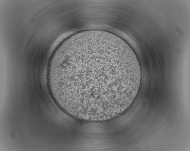 X0000112791094200910021054