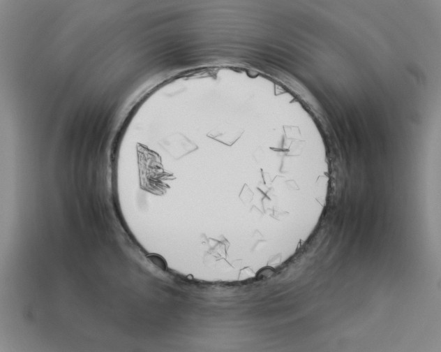 X0000112791096200910021054