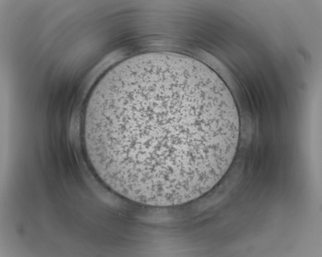 X0000112791098200910021054