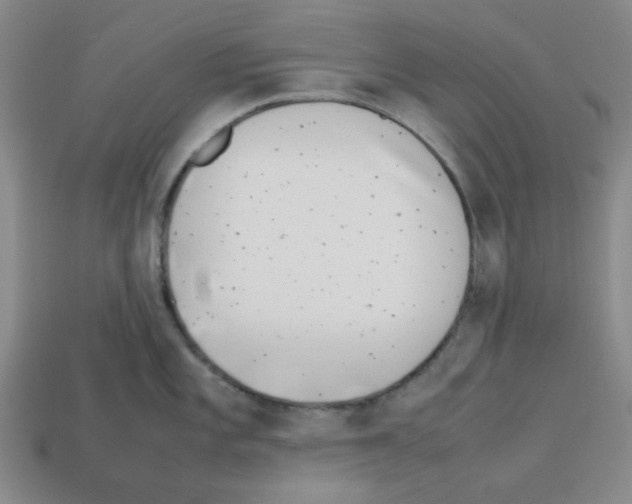 X0000112791101200910021054