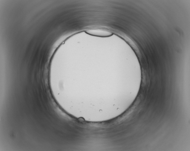 X0000112791102200910021054