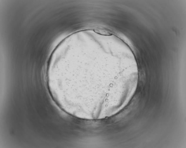 X0000112791103200910021054