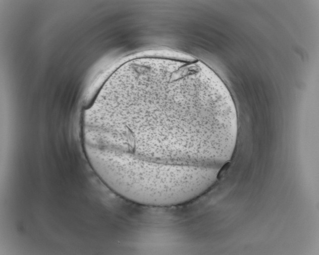 X0000112791104200910021054