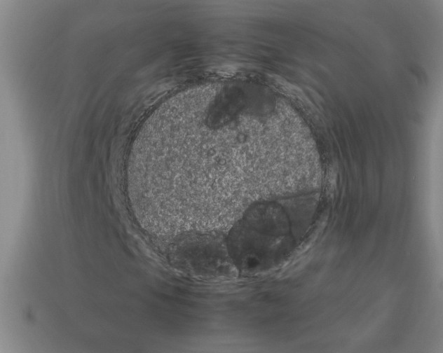 X0000112791105200910021053