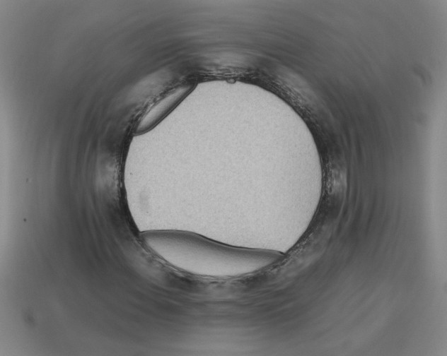 X0000112791108200910021053