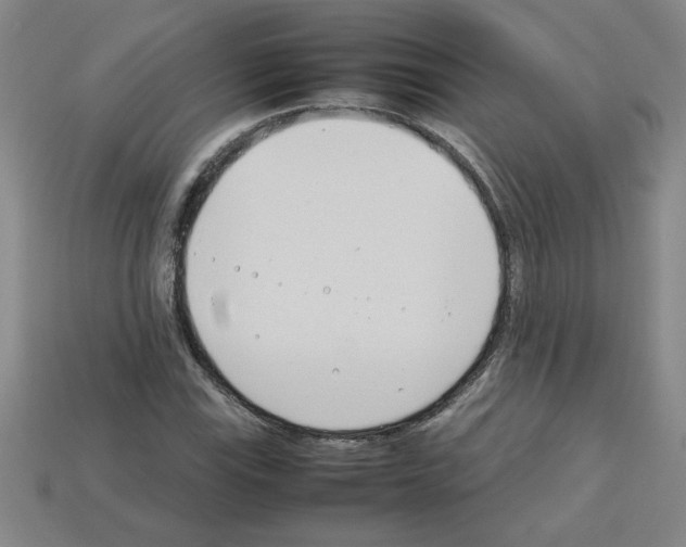 X0000112791115200910021053