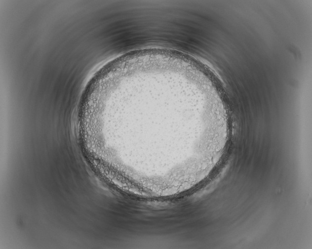 X0000112791117200910021053