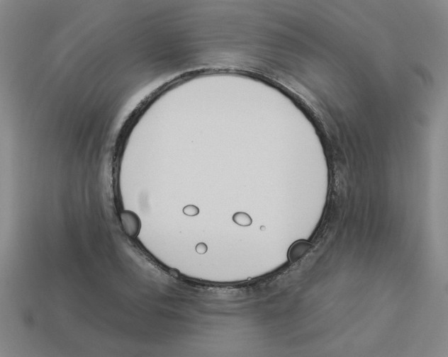 X0000112791120200910021053