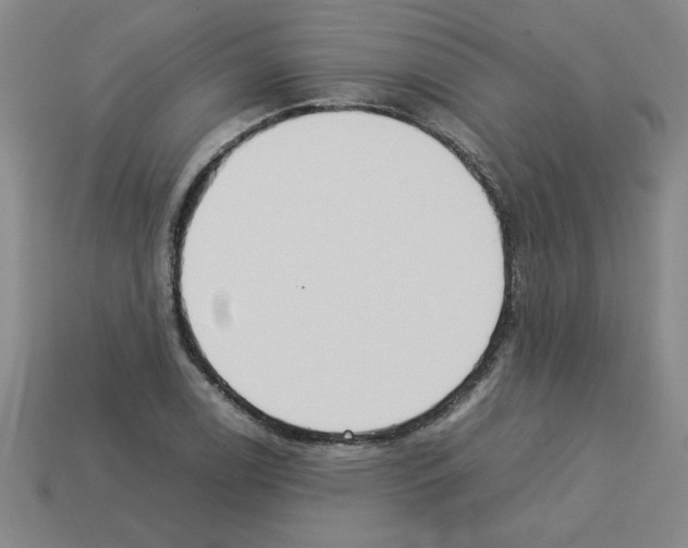 X0000112791122200910021053