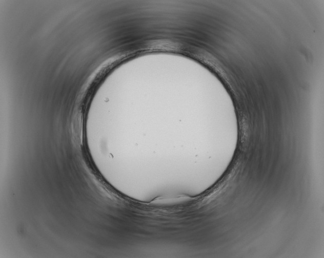 X0000112791123200910021053