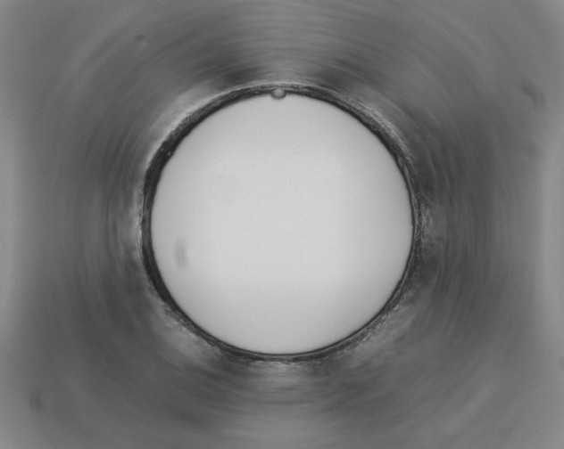 X0000112791124200910021053