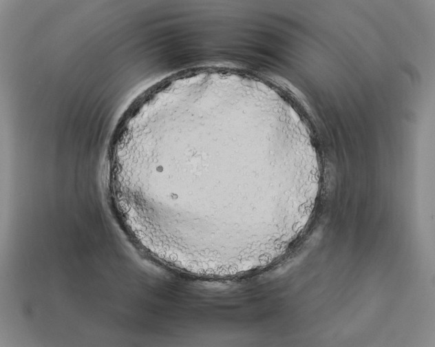 X0000112791125200910021053