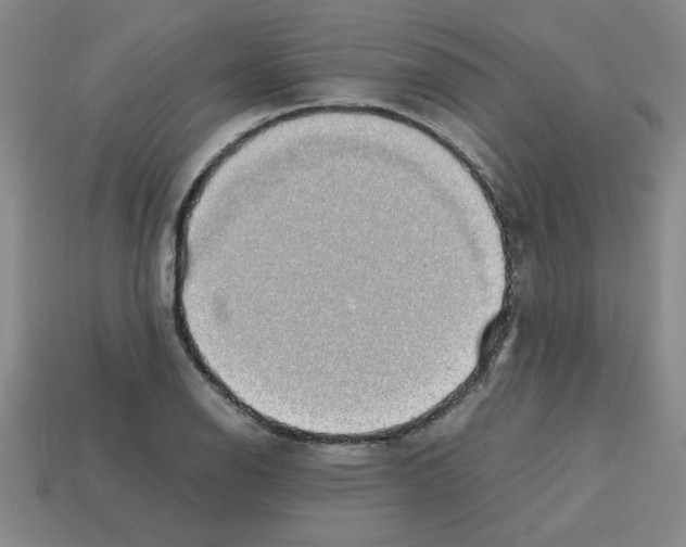 X0000112791126200910021053