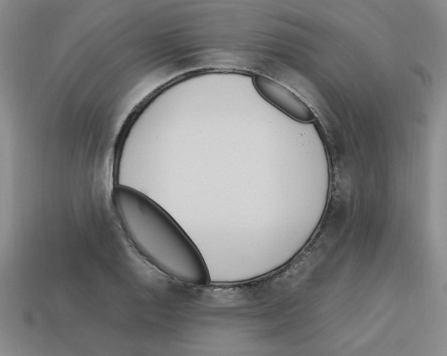 X0000112791128200910021053