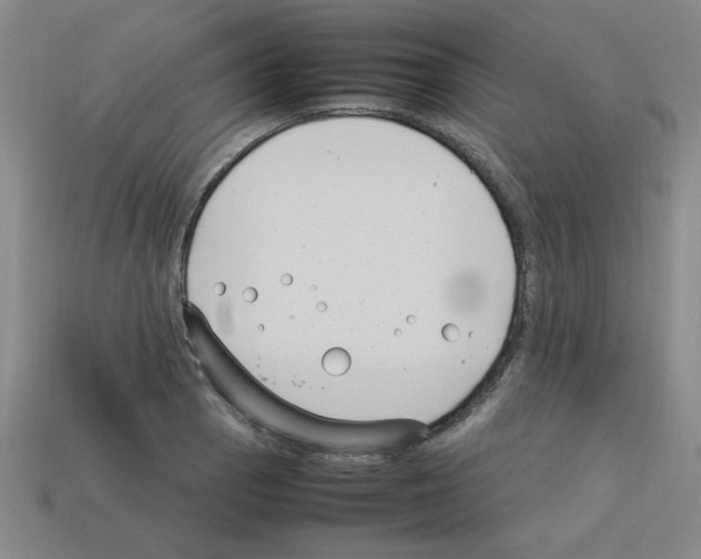 X0000112791129200910021053