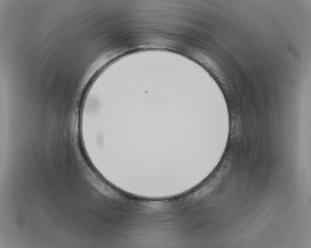 X0000112791130200910021053