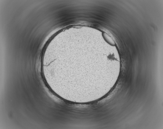 X0000112791131200910021053