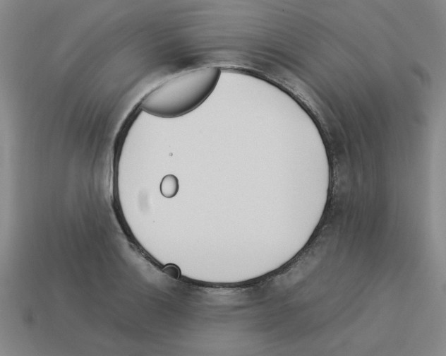 X0000112791132200910021053