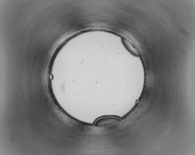 X0000112791136200910021054